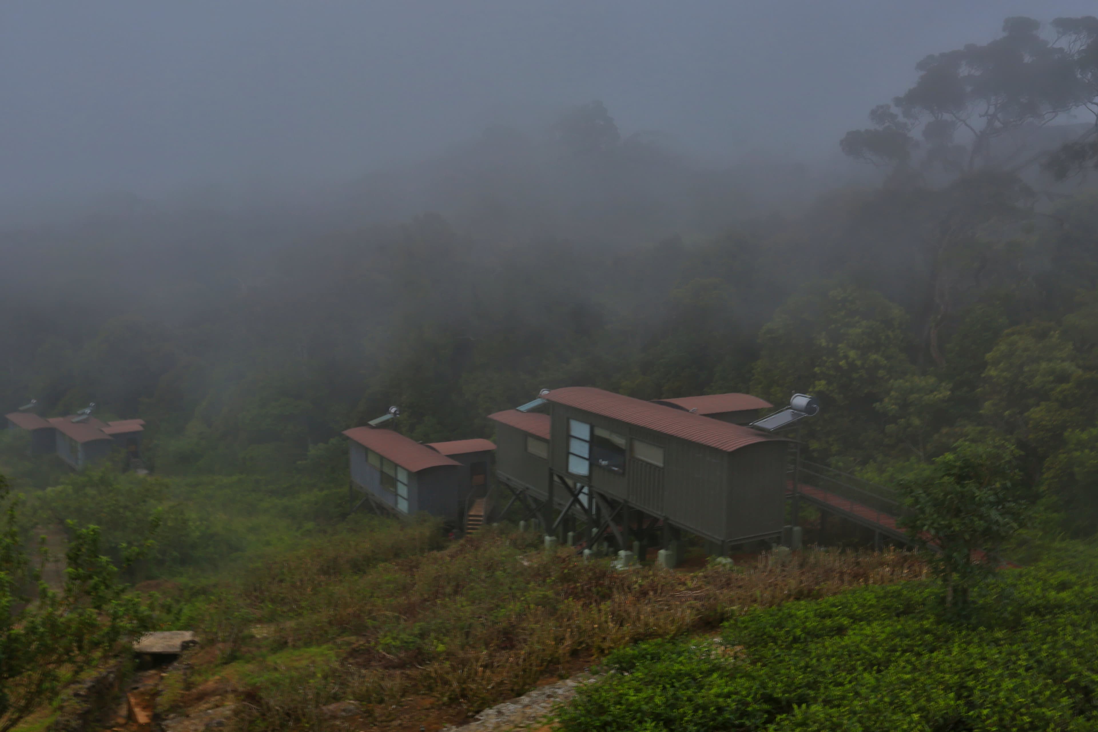 The Rainforest Ecolodge Ansicht 4