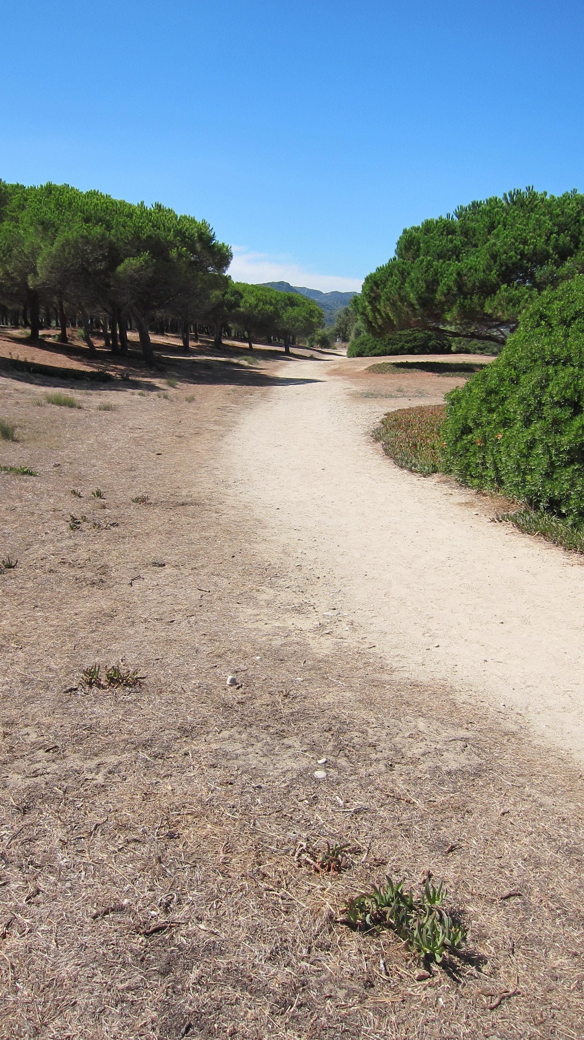 Belambra Clubs - Golfe de Lozari Ansicht 9