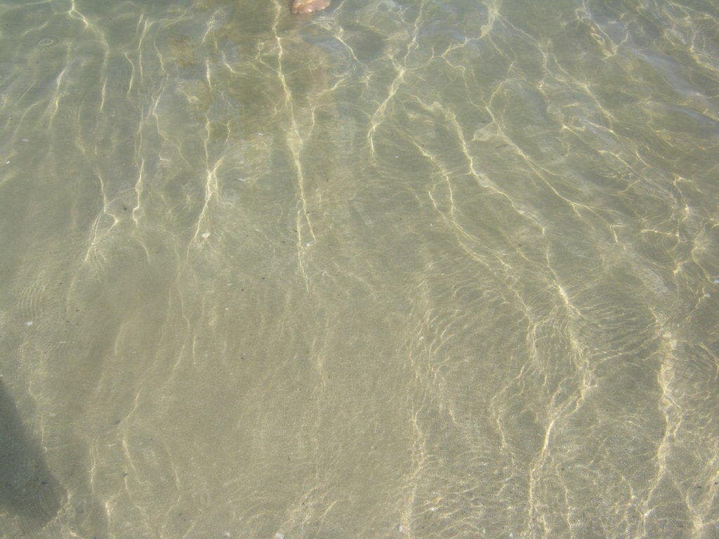 Hotel Magnolia Ansicht 9