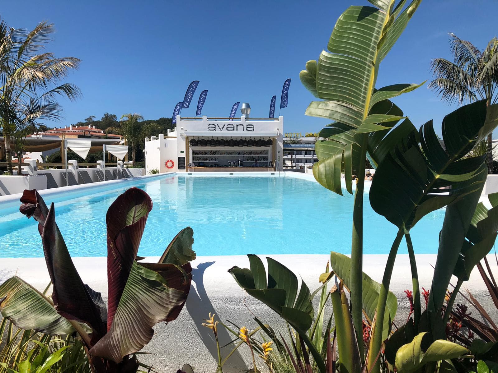 Hotel Delamar - Adults only