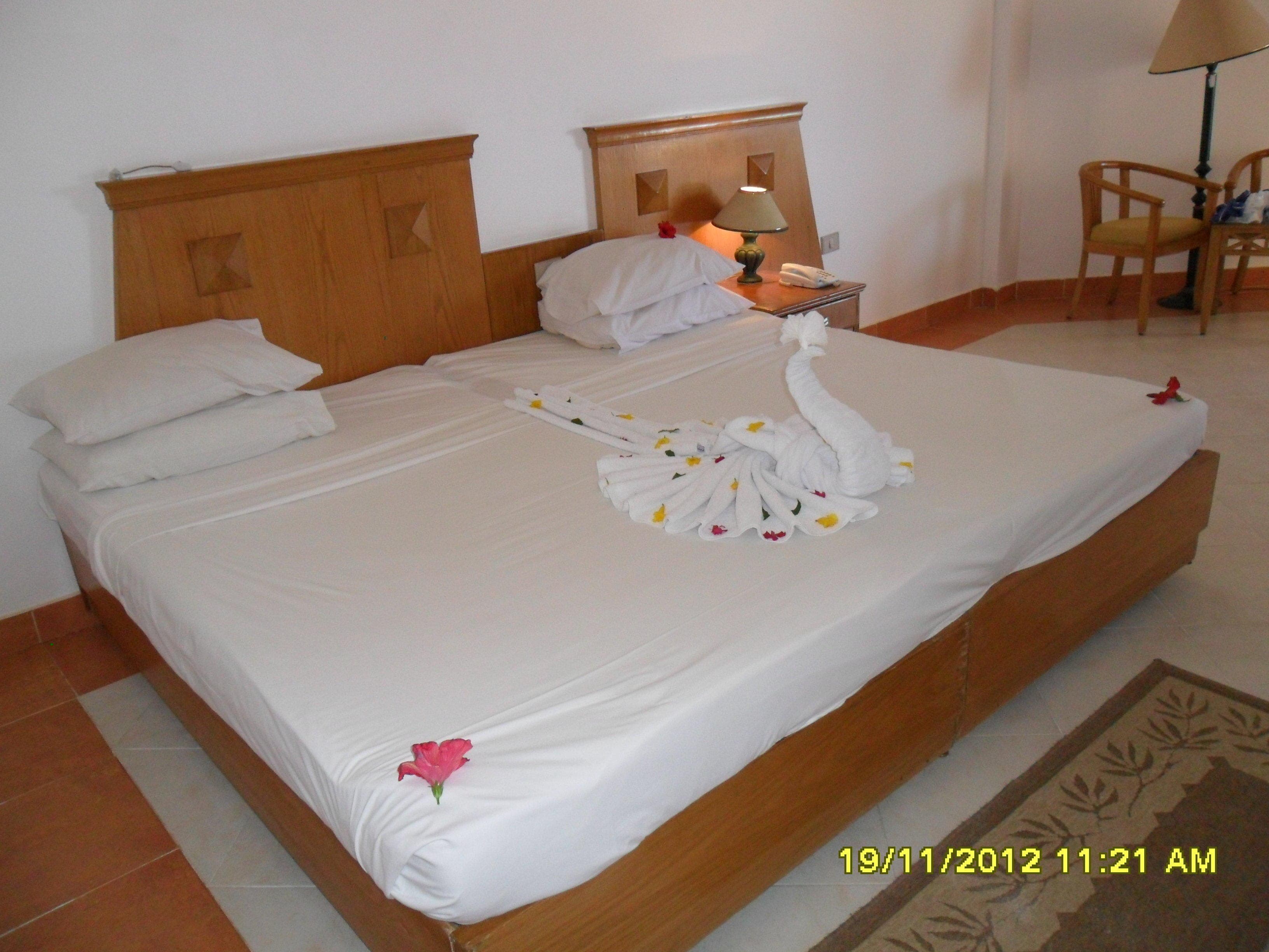 Blue Reef Red Sea Resort Ansicht 6