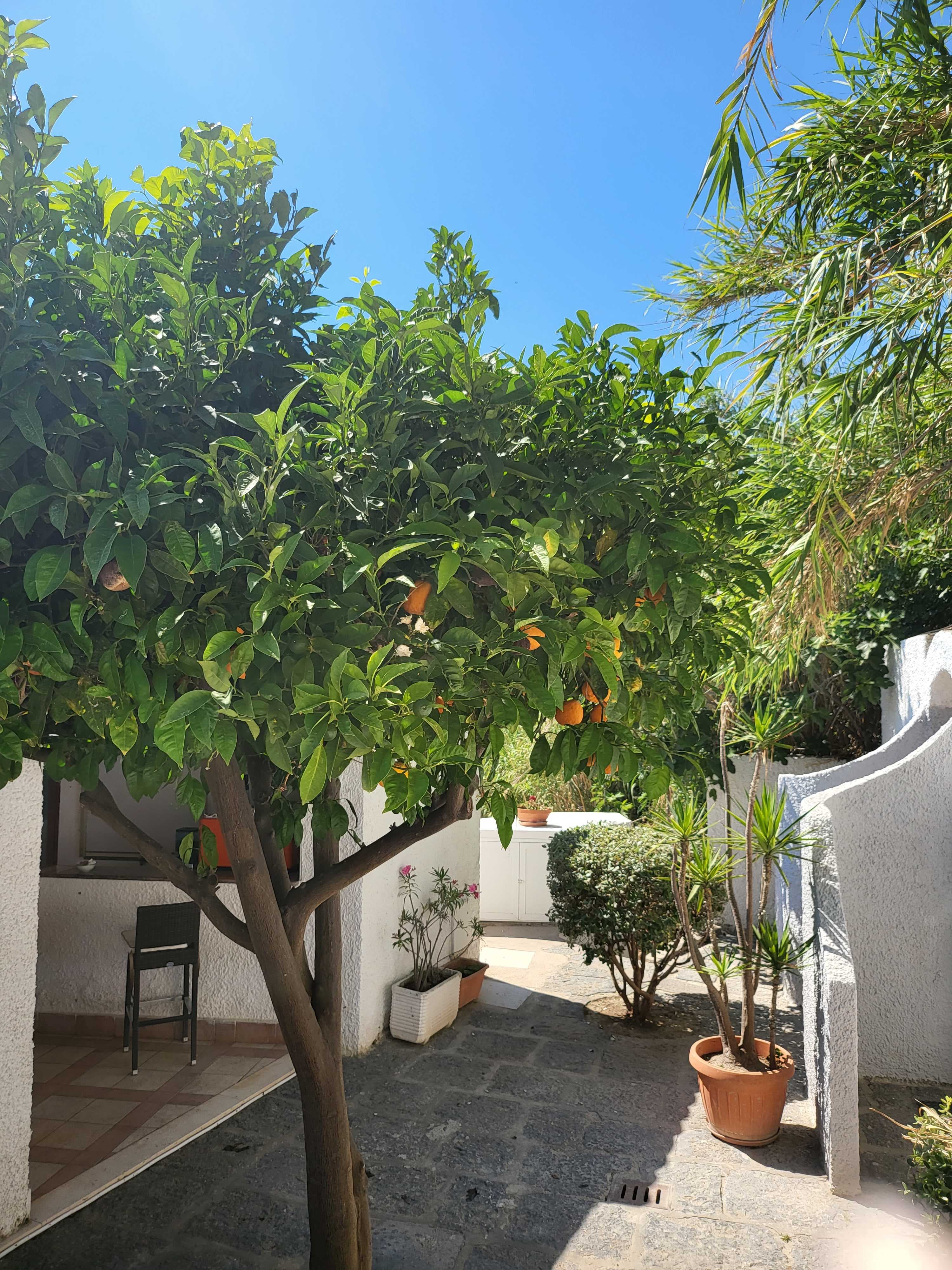 Hotel Citara Ansicht 5