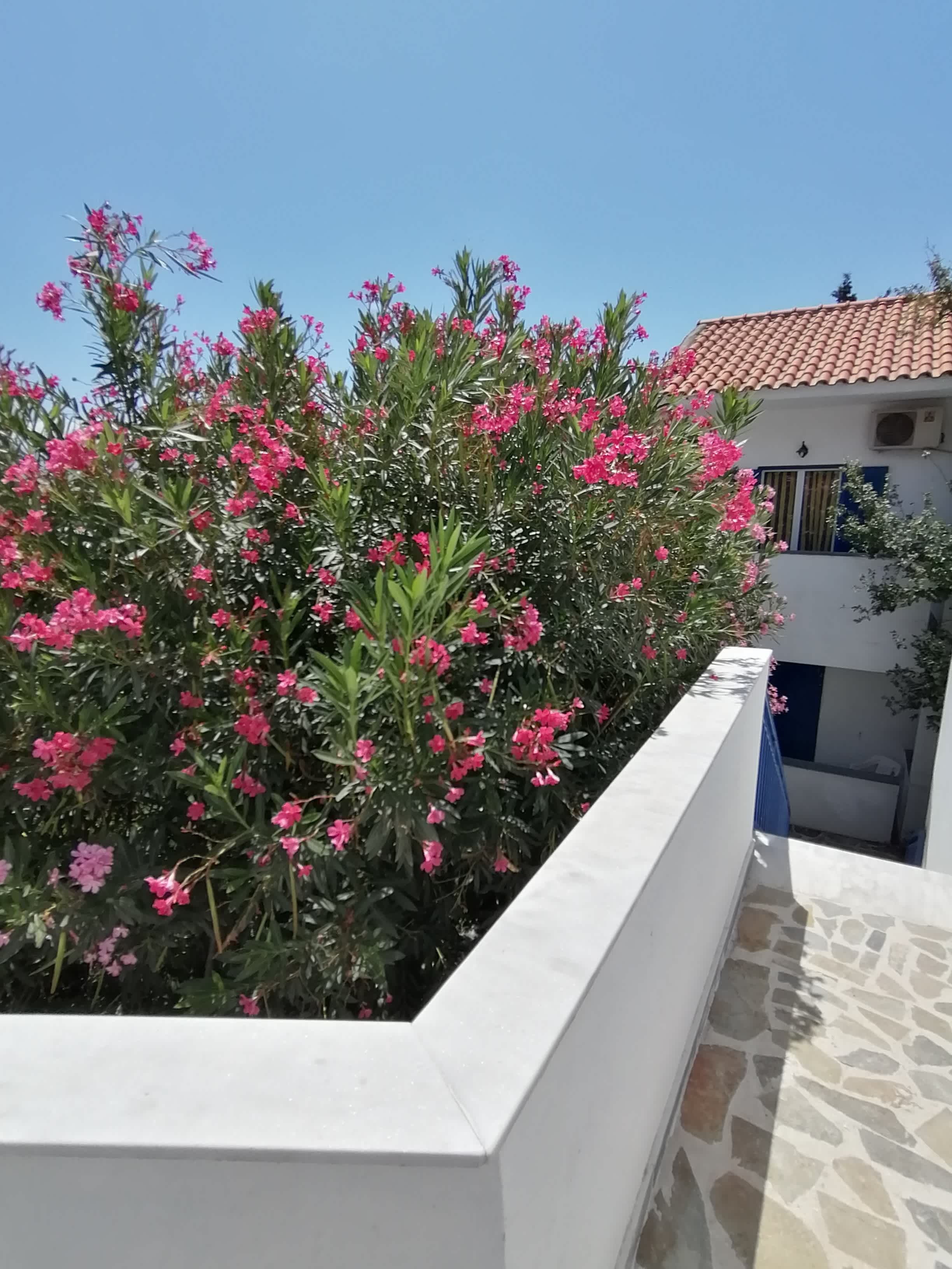 Hotel Sofia Ansicht 2