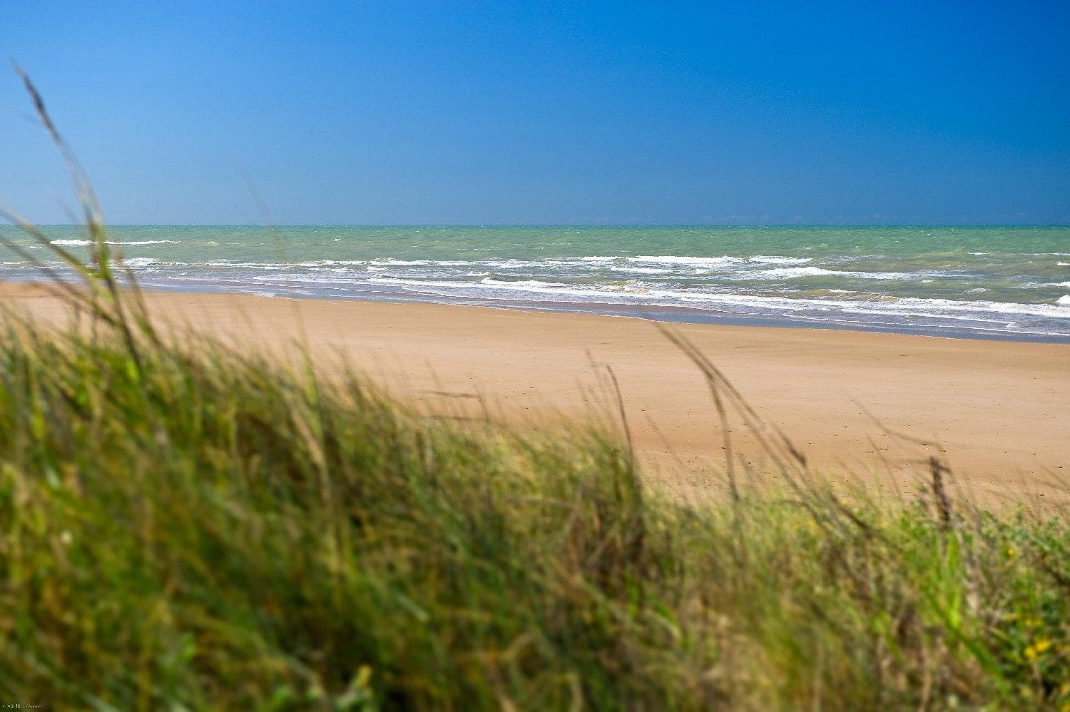 Elba Costa Ballena Beach & Thalasso Resort Ansicht 10