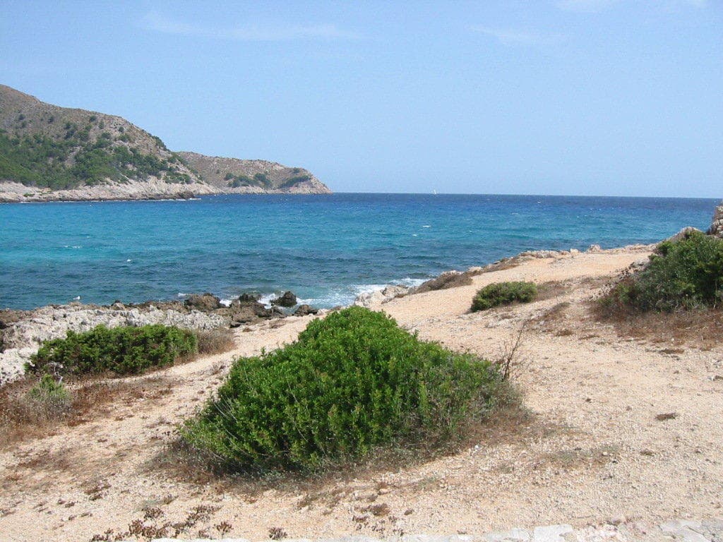 Hotel Quijote Park Ansicht 9