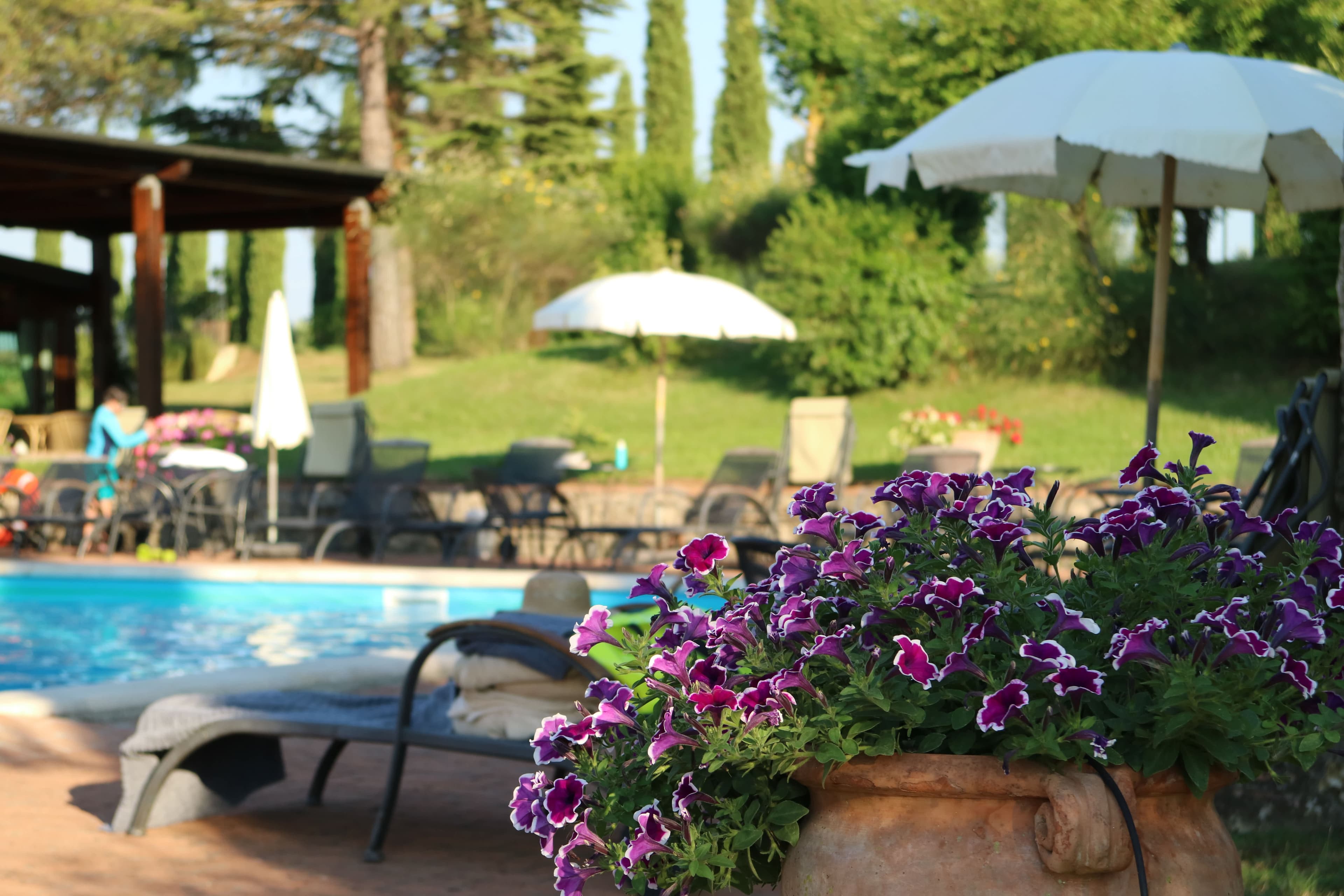Agriturismo La Sovana Ansicht 3