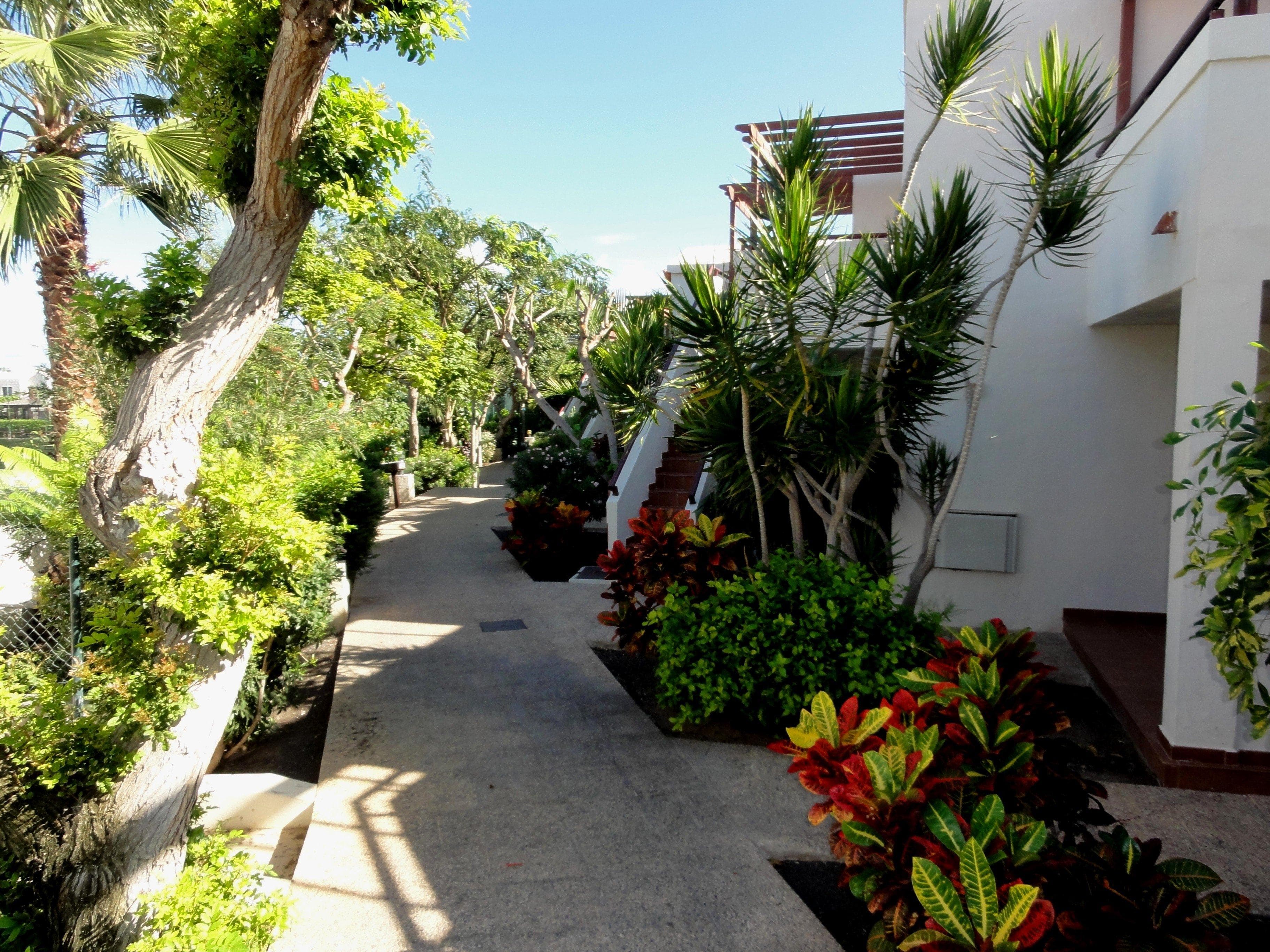 Alua Suites Fuerteventura Ansicht 3