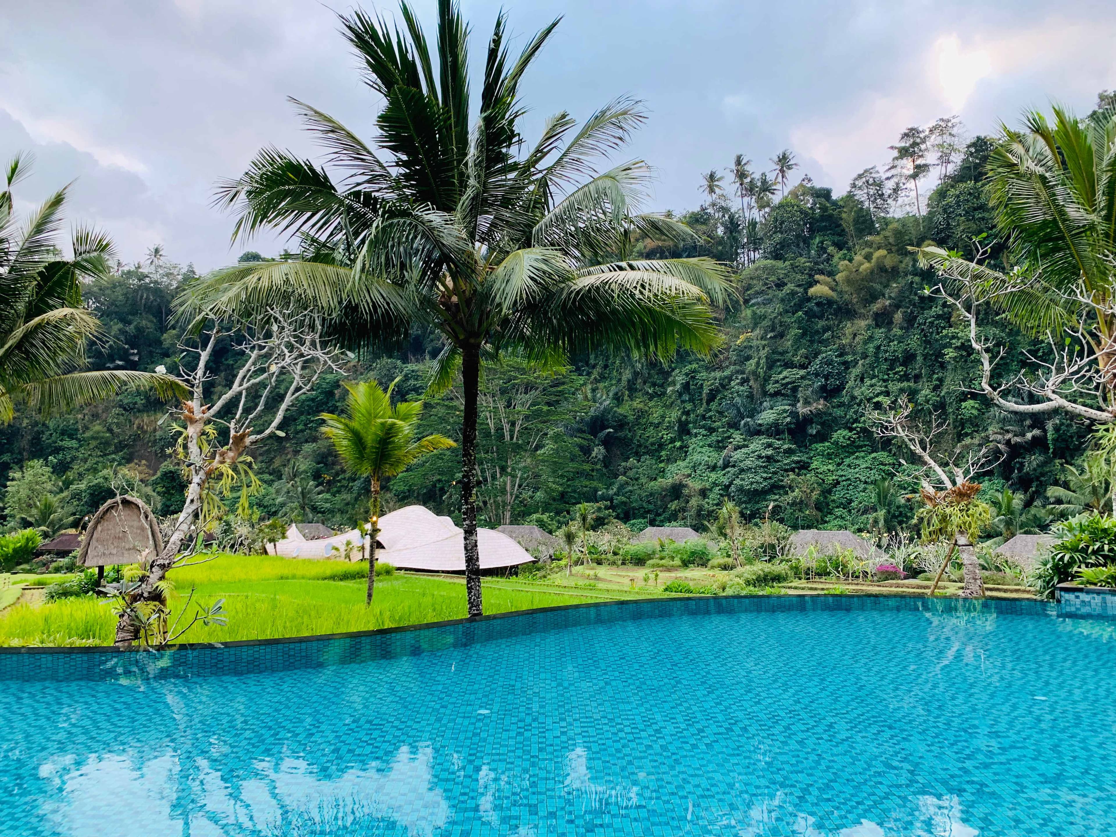 Mandapa, a Ritz-Carlton Reserve Ansicht 7