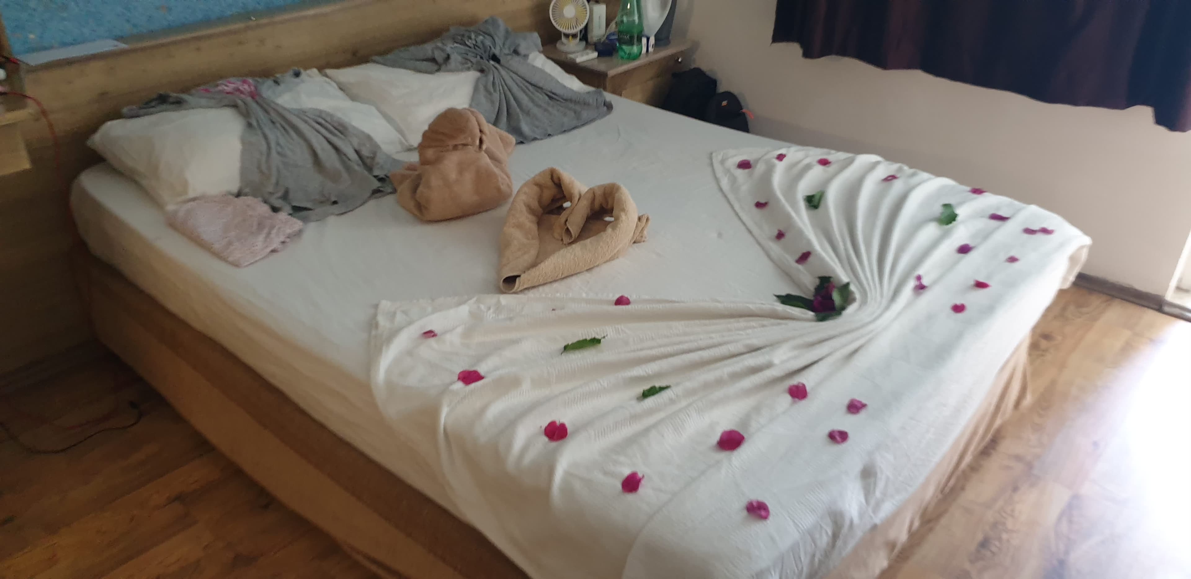 Hotel Golden Star Ansicht 5