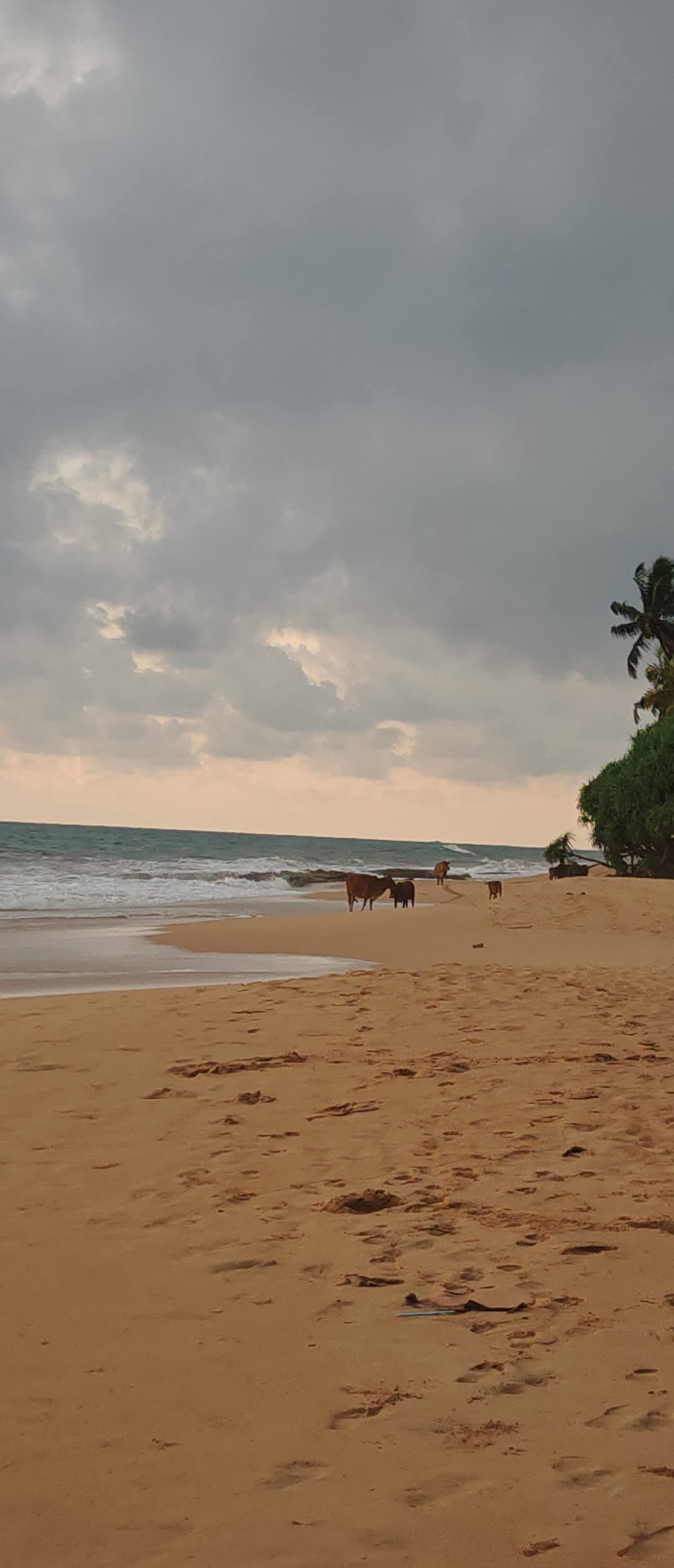 Sheraton Kosgoda Turtle Beach Resort Ansicht 9