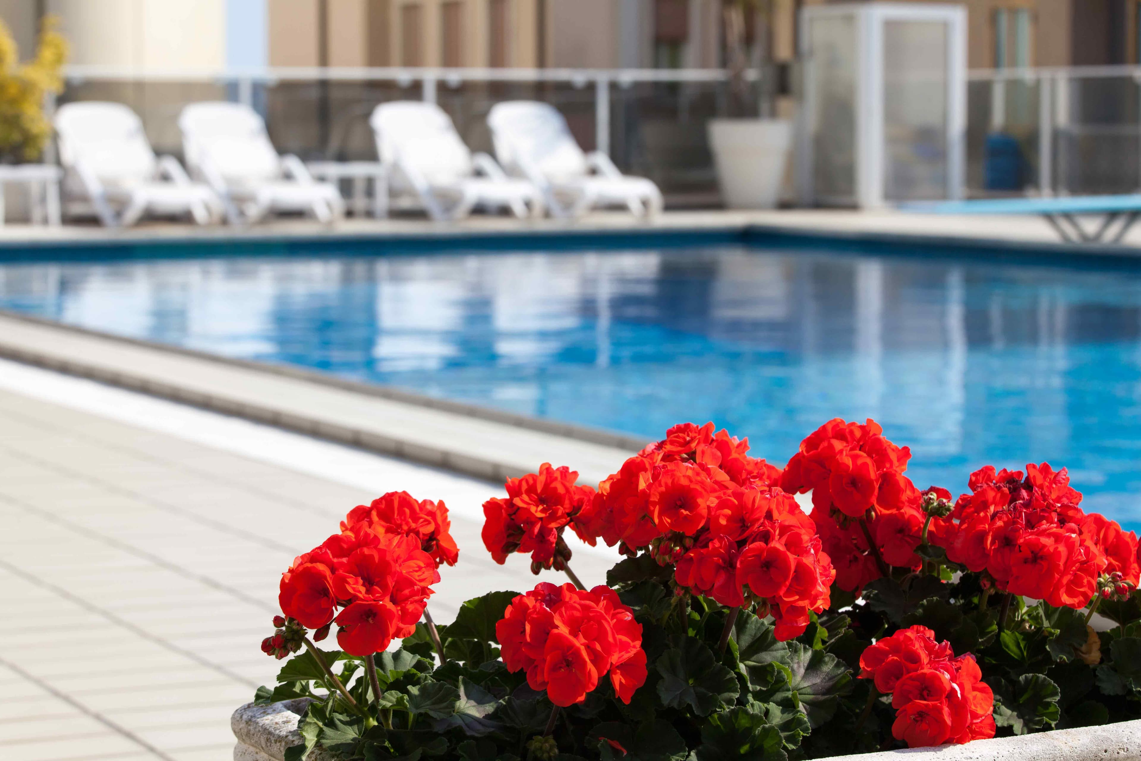 Hotel Rosanna Ansicht 7
