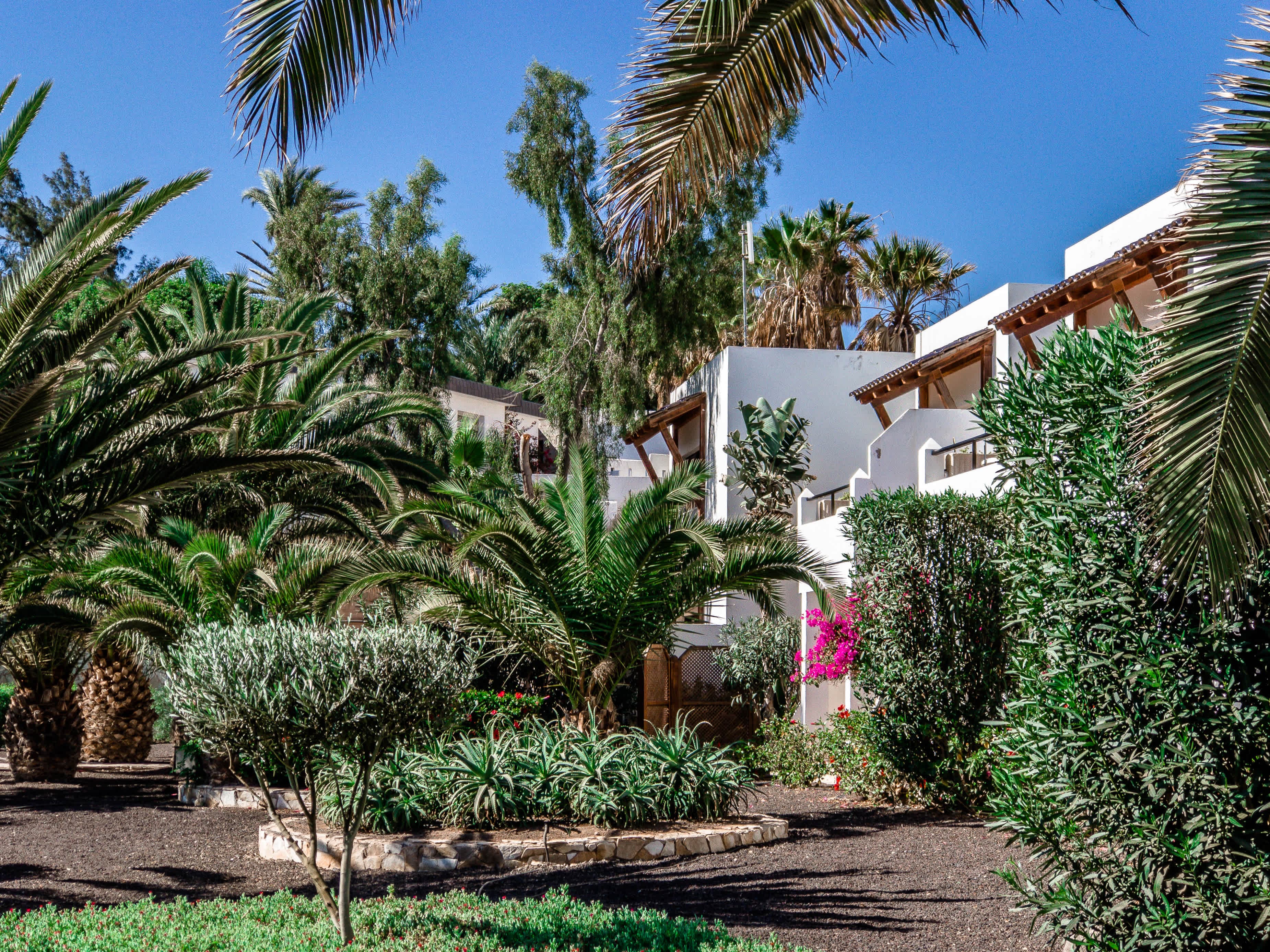 Marina Playa Suite Hotel Ansicht 3