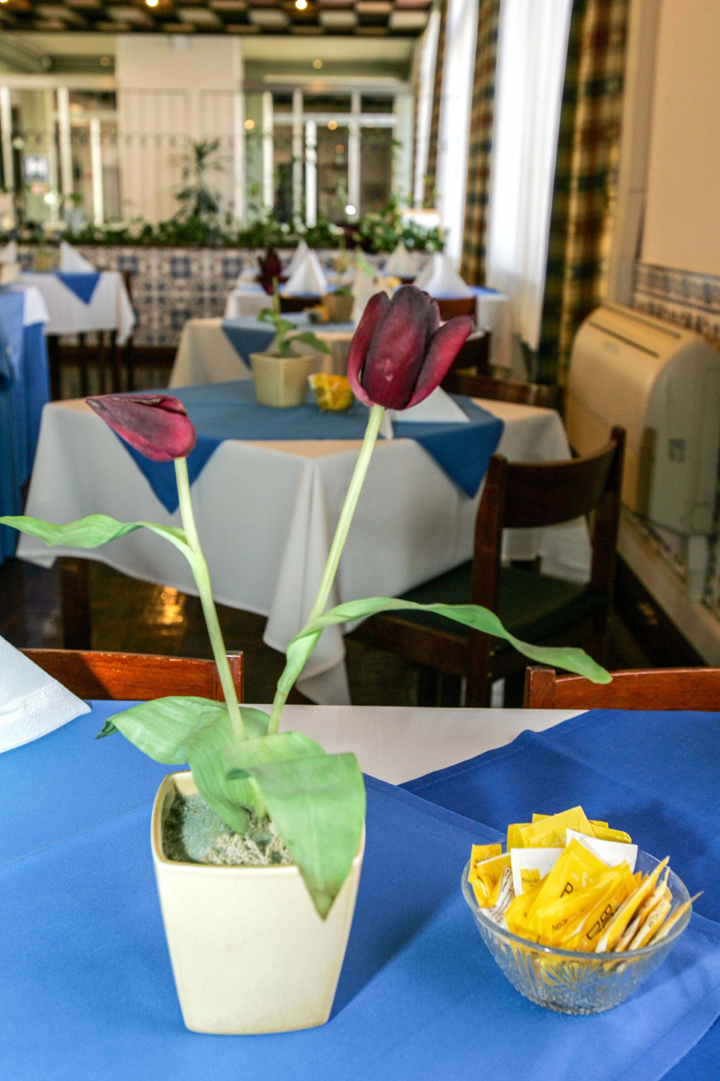 Hotel Canadiano Ansicht 9