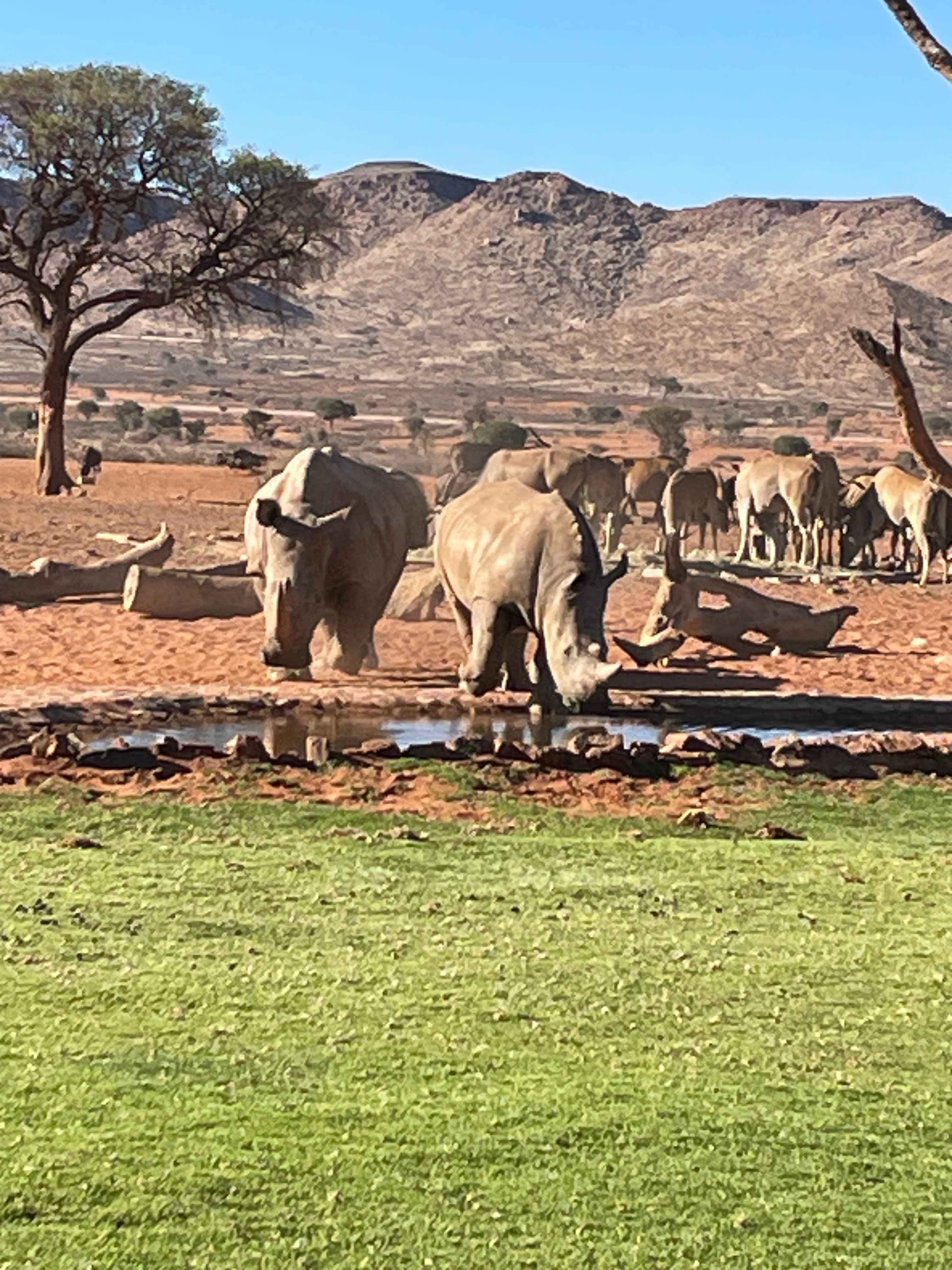We Kebi Safari Camp Ansicht 9