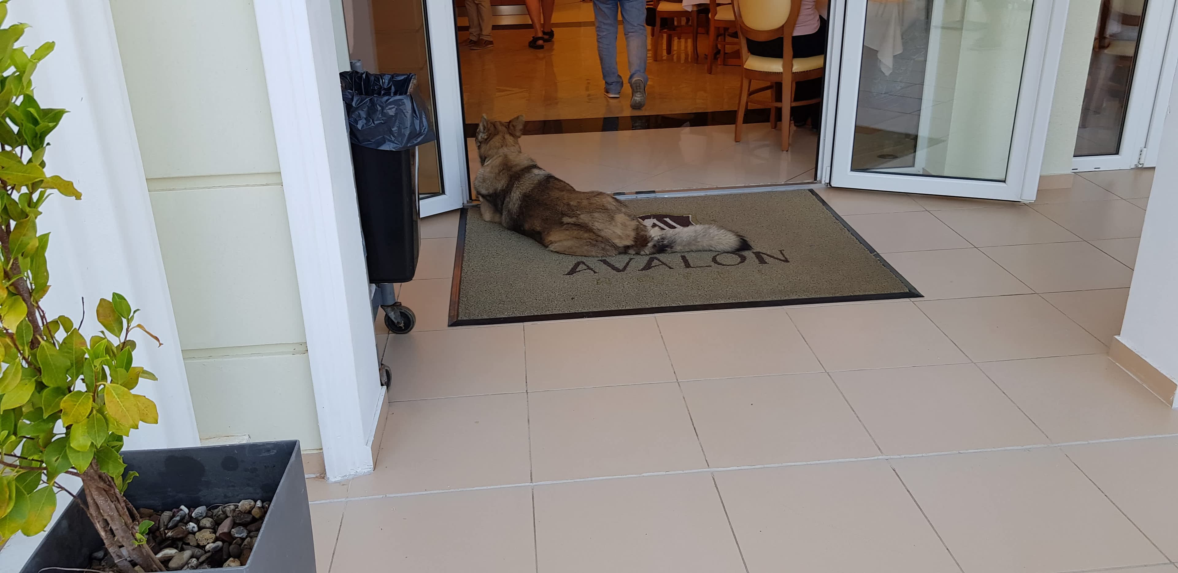 Avalon Palace Hotel Ansicht 9