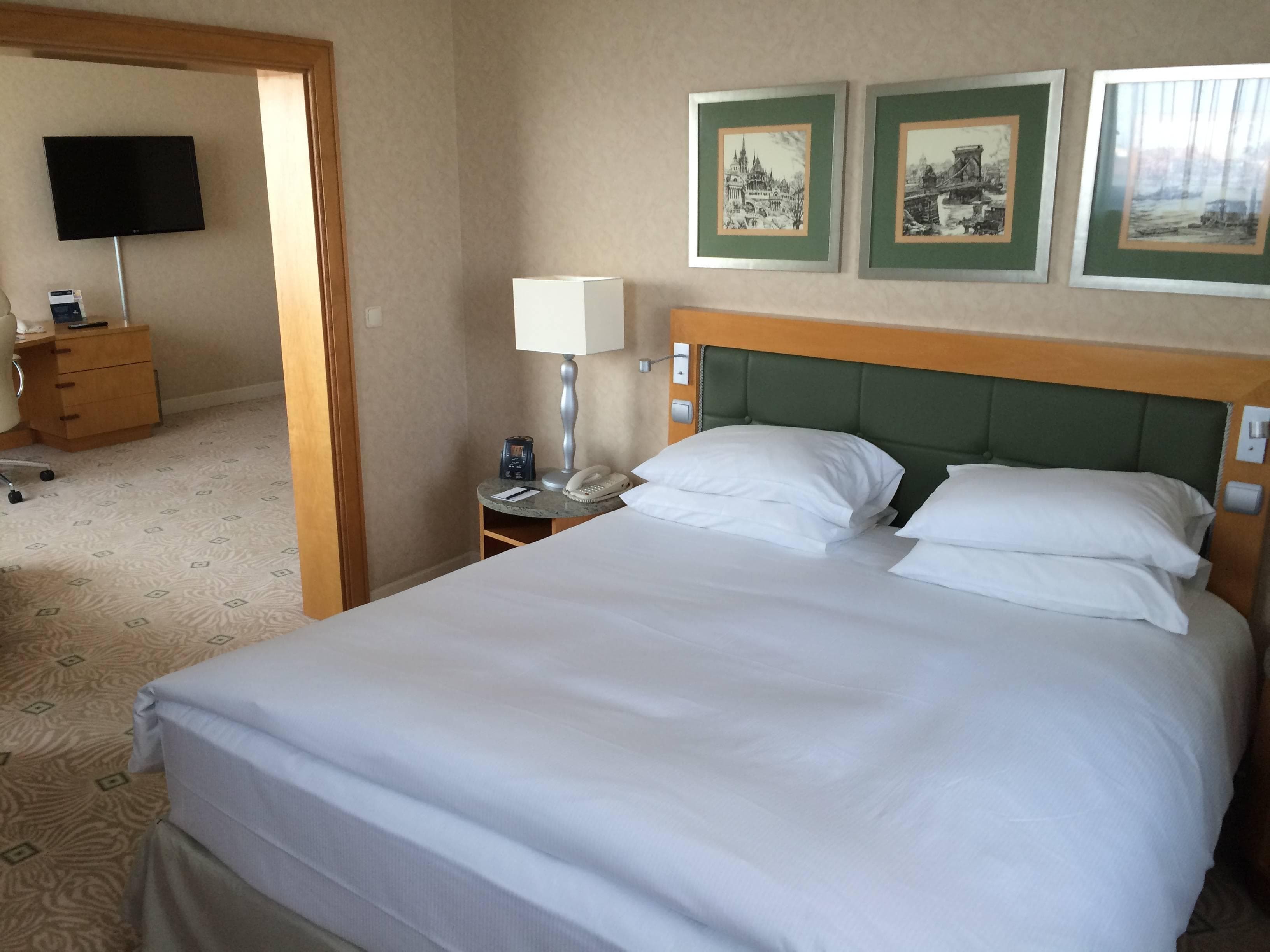 Crowne Plaza Budapest, an IHG Hotel Ansicht 5