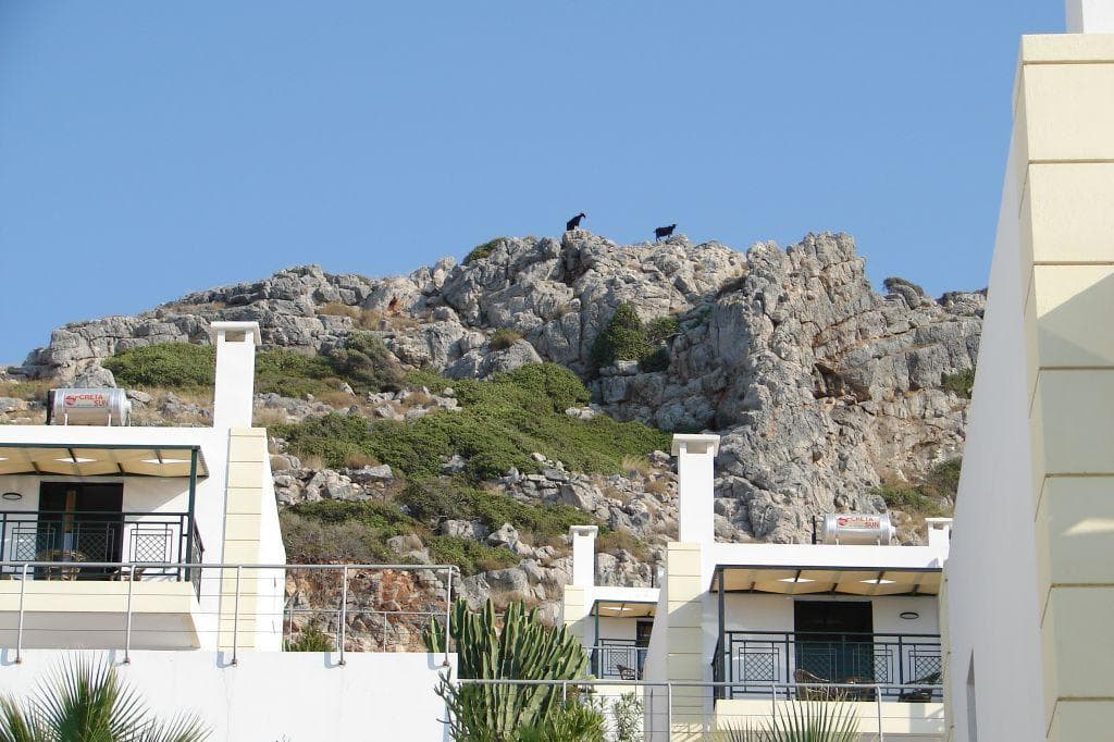 Hotel Golden Villas Ansicht 2