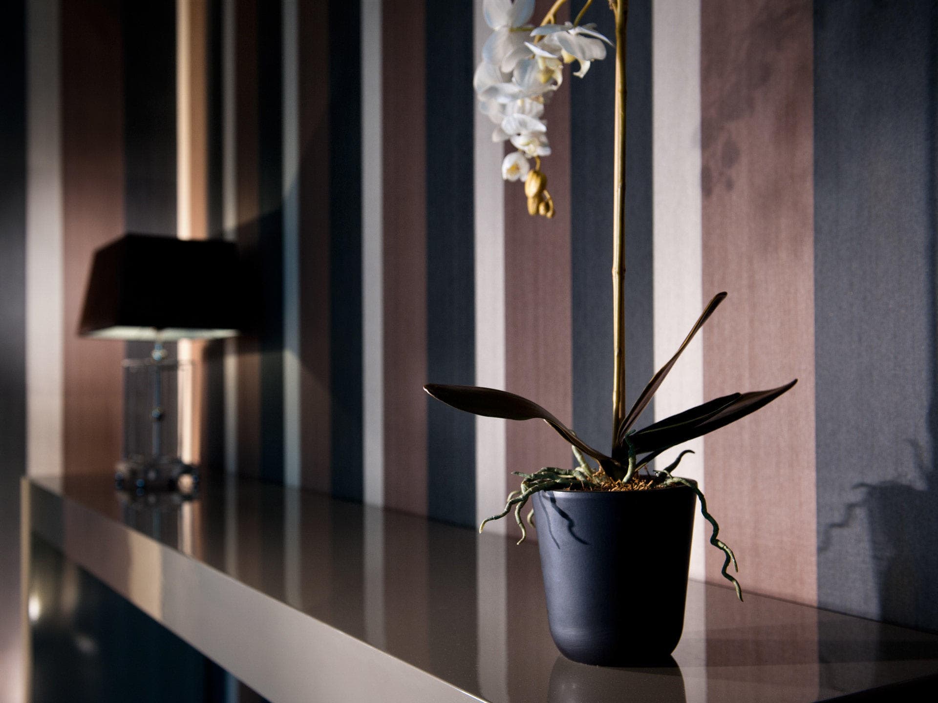 Hotel Diplomat Ansicht 8