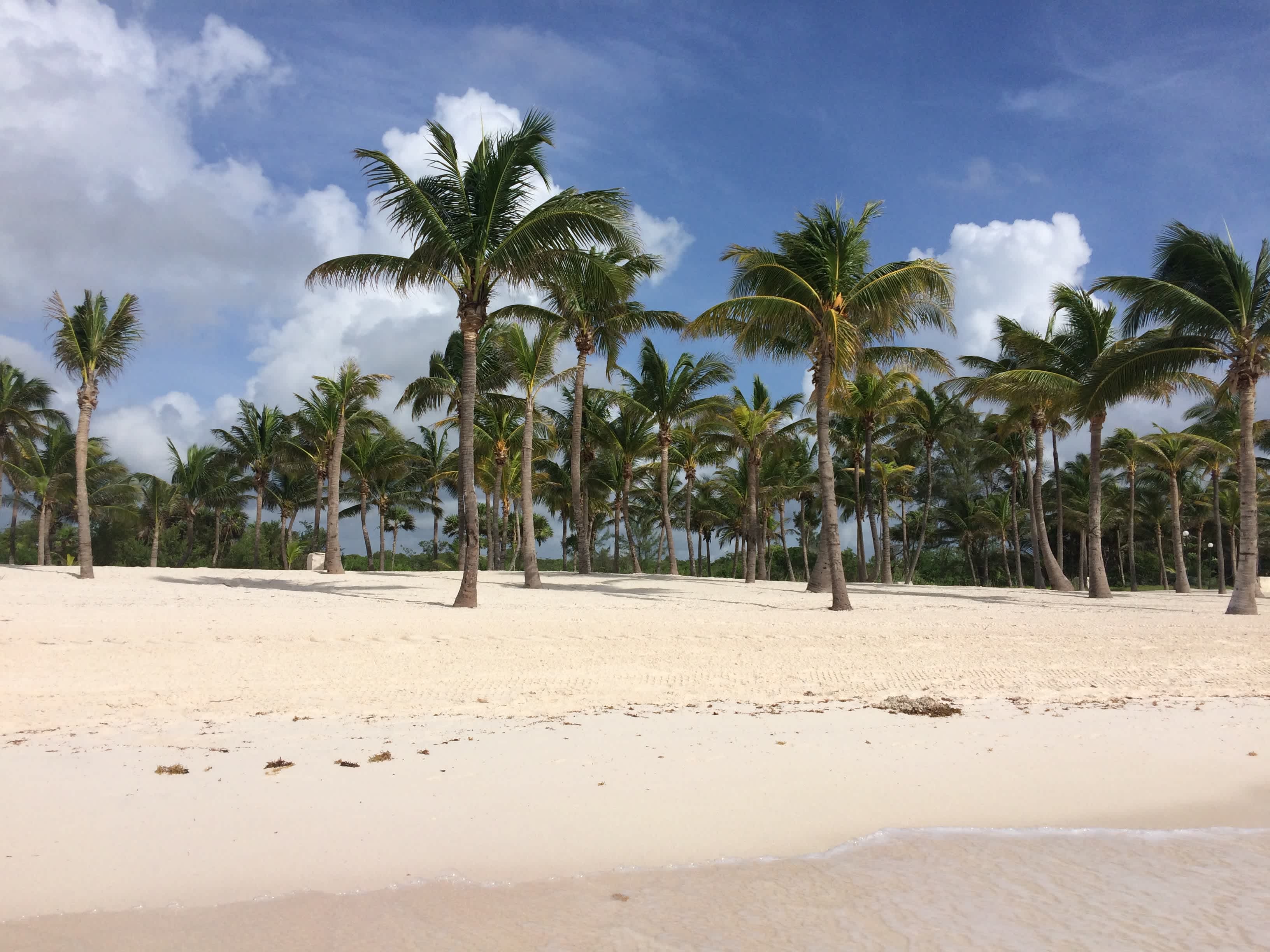 Barceló Maya Beach Ansicht 10