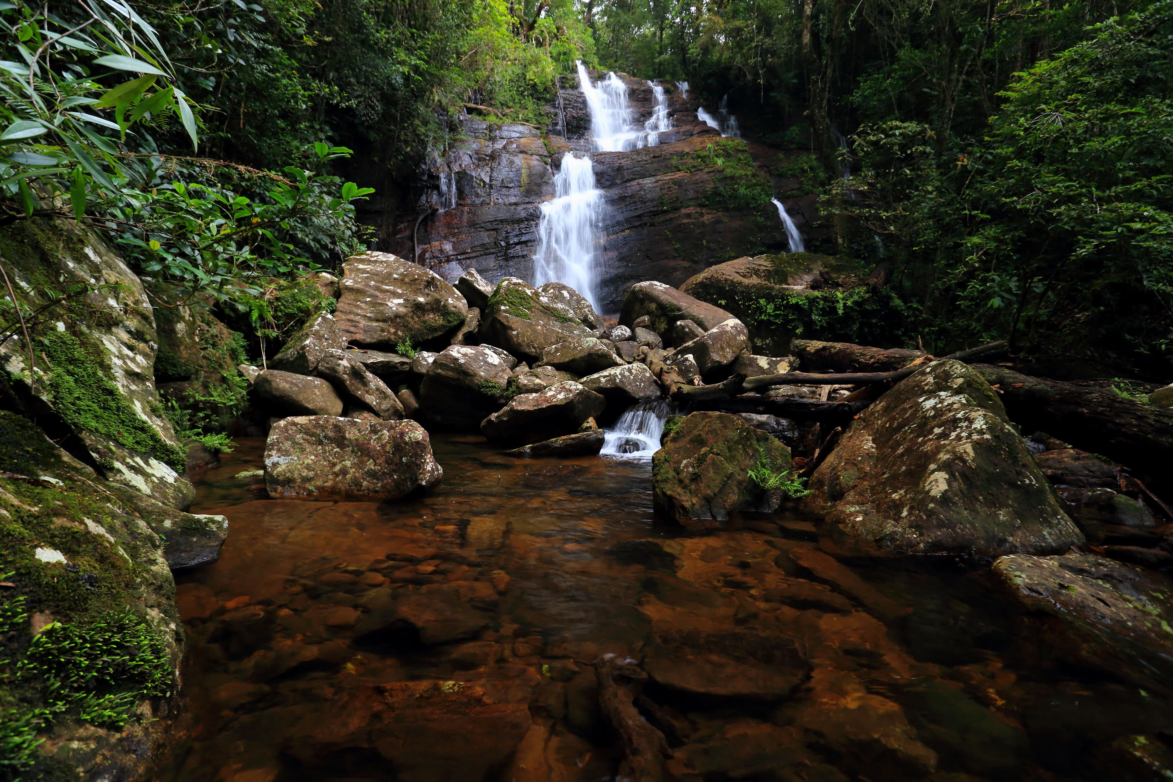 The Rainforest Ecolodge Ansicht 7