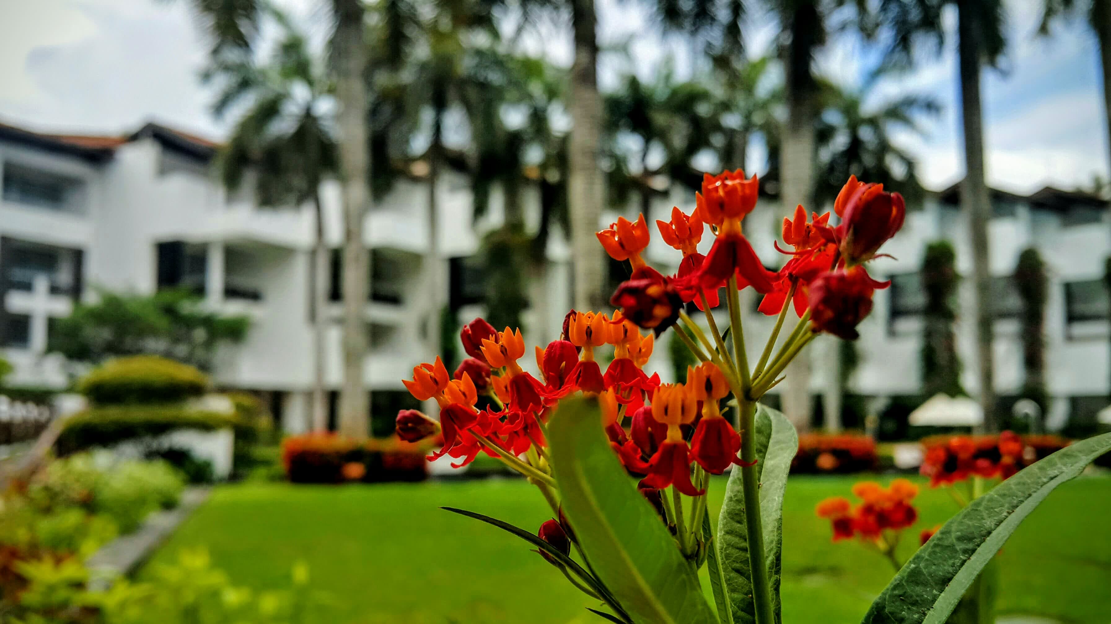 Hotel Lanka Princess Ayurveda Ansicht 6