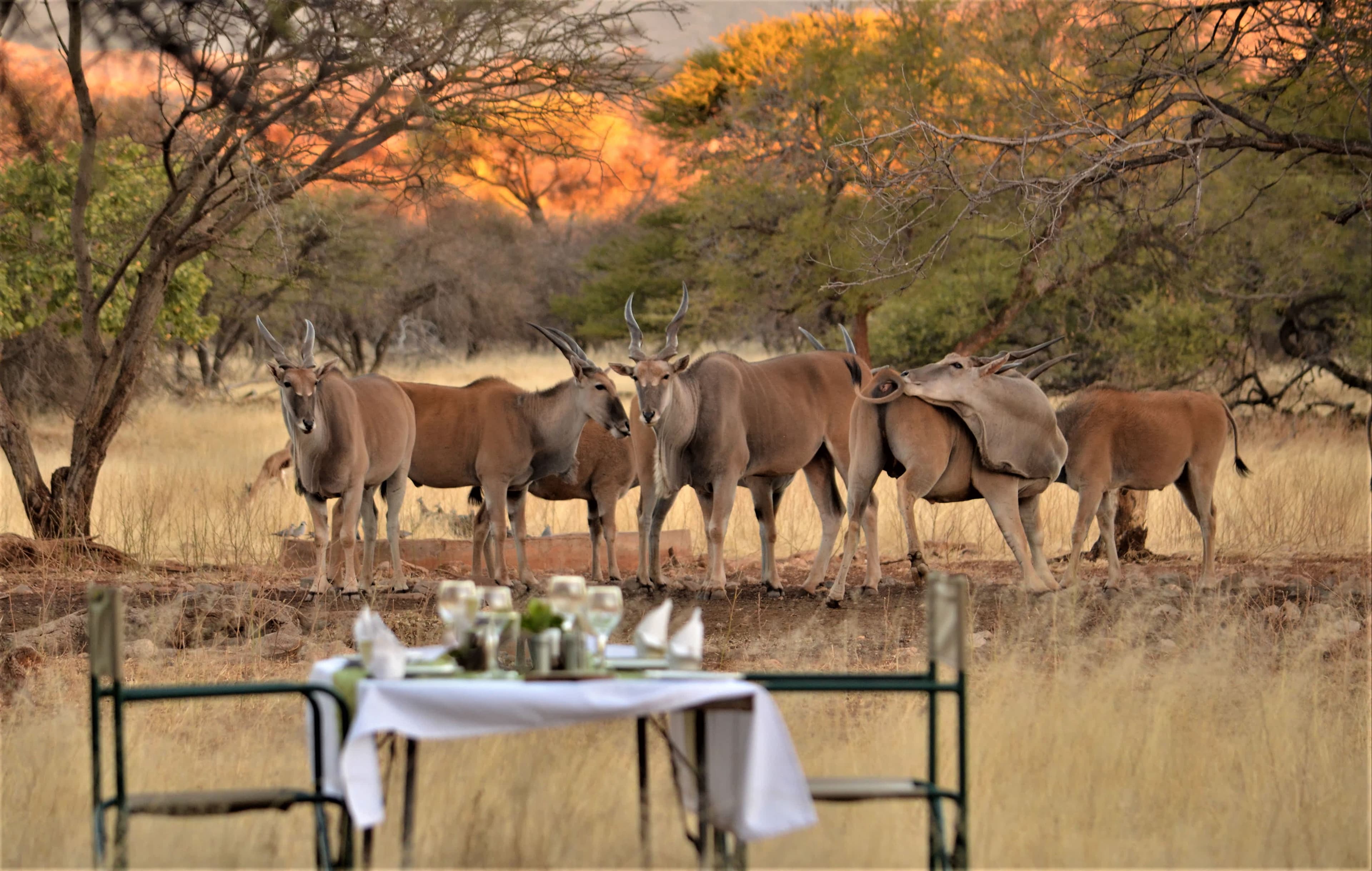 Ohange Lodge