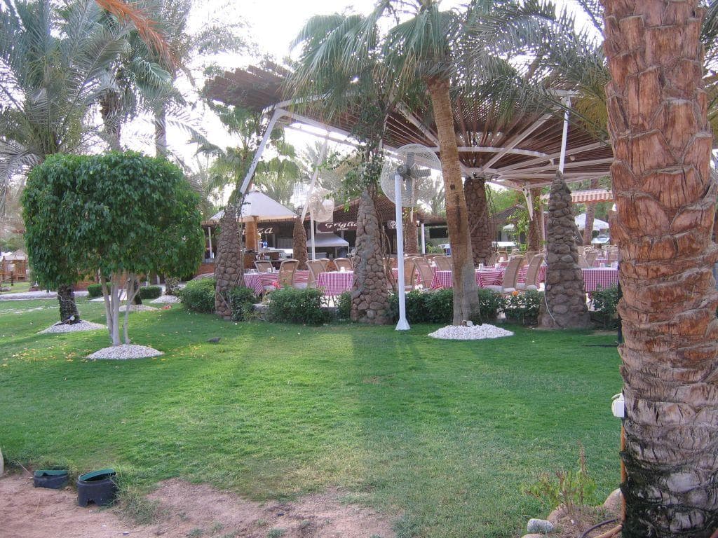 JAZ Sharm Dream Ansicht 8