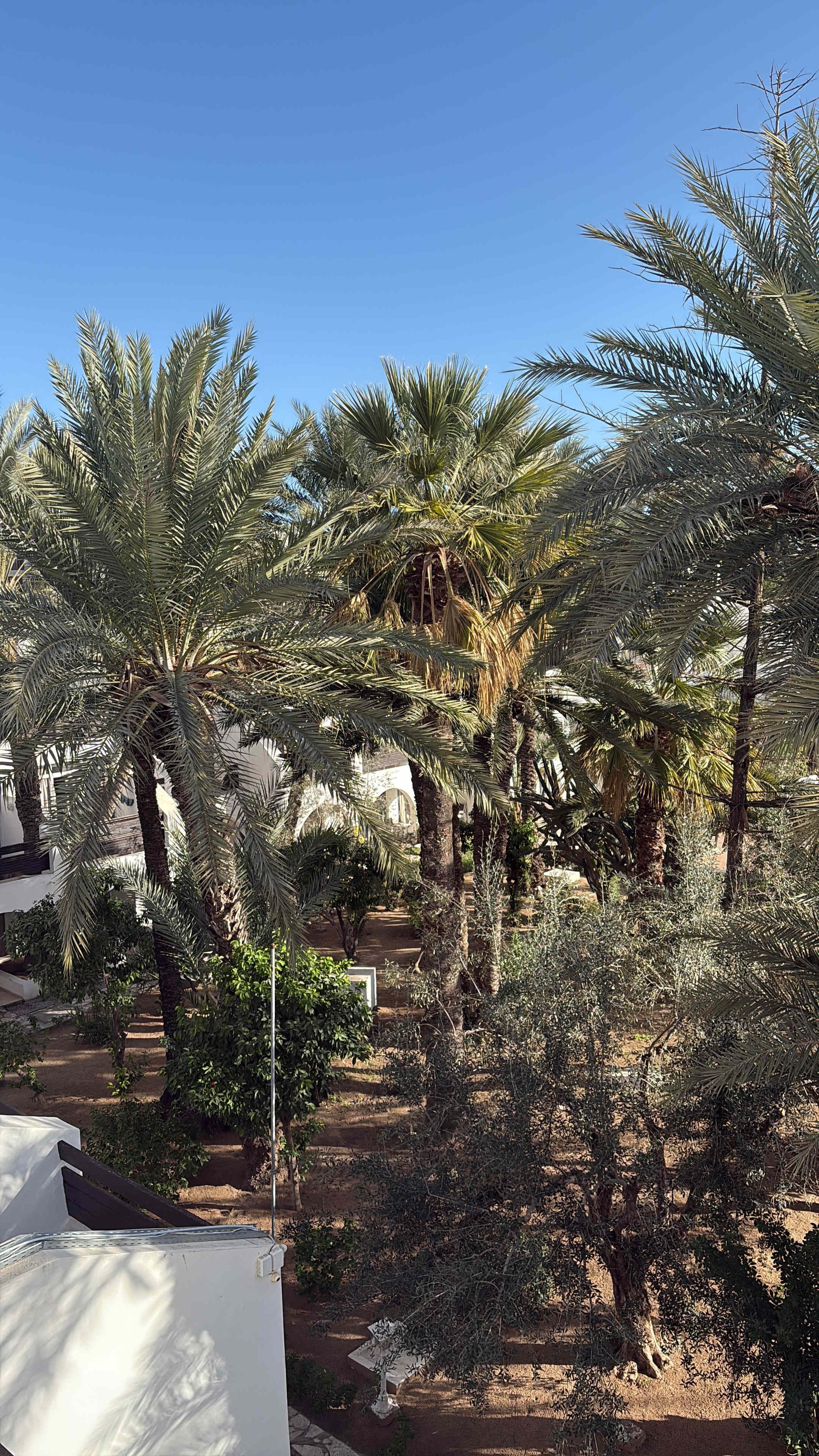 Marhaba Royal Salem Ansicht 3
