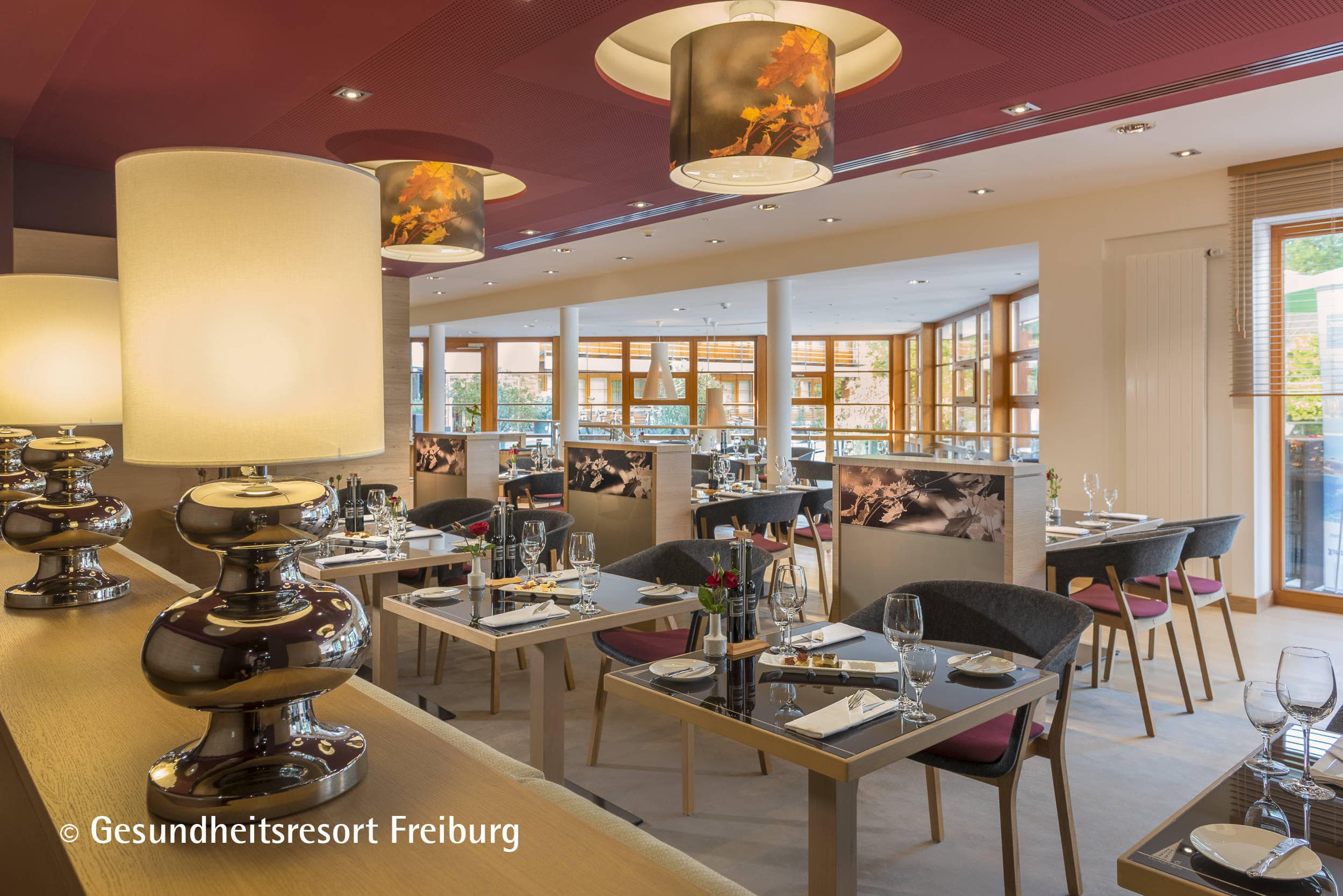 Dorint Thermenhotel Freiburg Ansicht 8