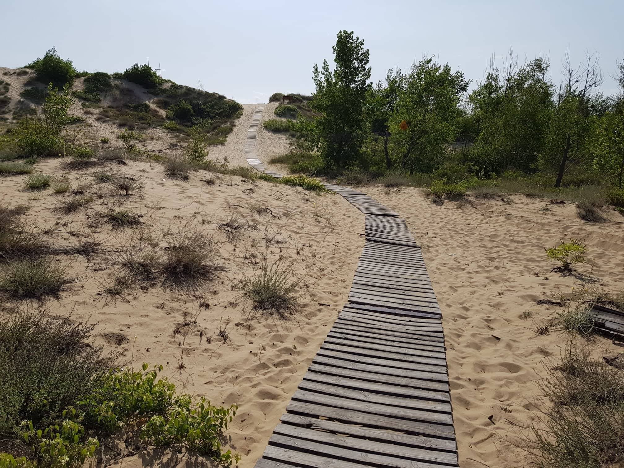 Hotel Kavkaz Golden Dune Ansicht 9