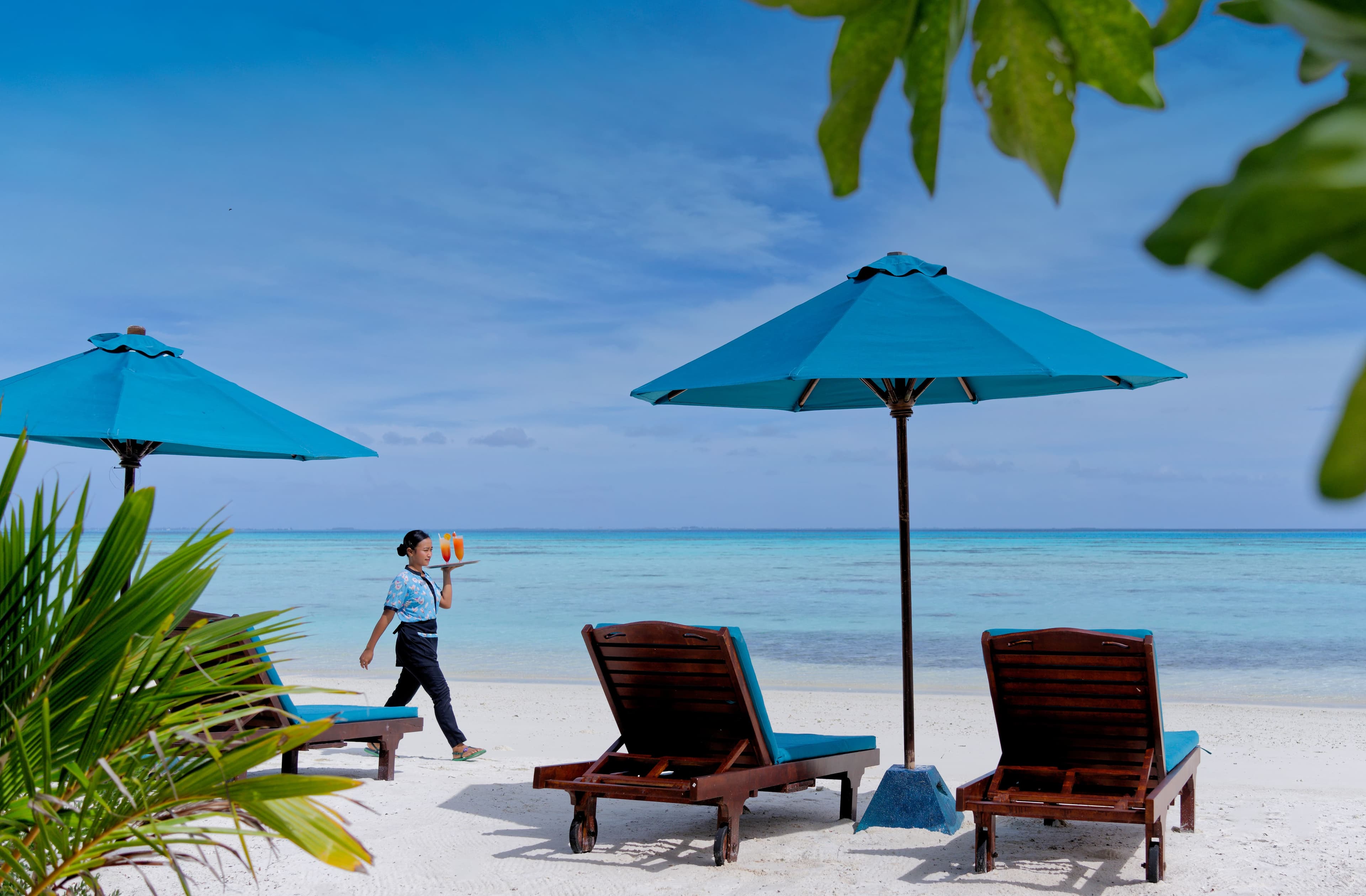 Canareef Resort Maldives Ansicht 9