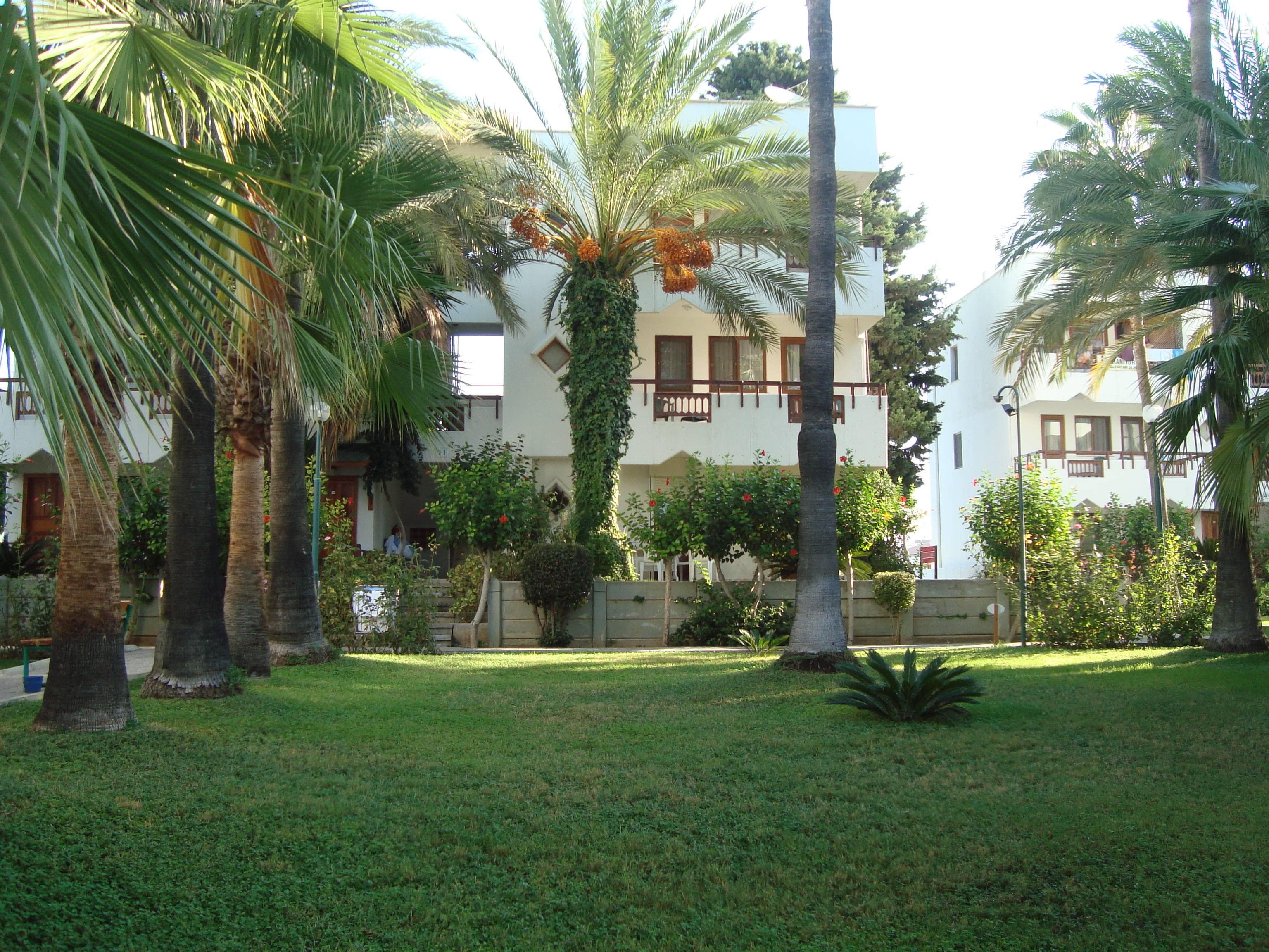 Antik Garden