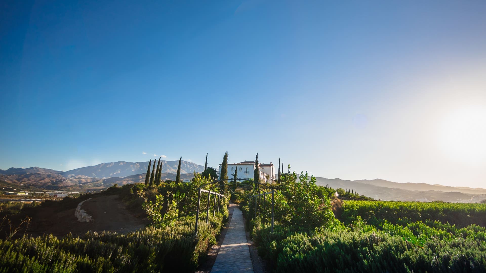 B bou Hotel Cortijo Bravo Ansicht 7