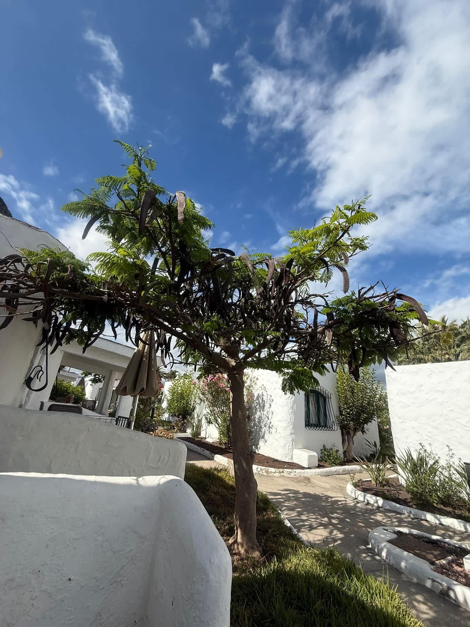 MUR Bungalows Parque Romantico Gran Canaria Ansicht 3