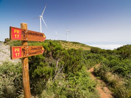 Rundreisen Portugal - Madeira: Wanderreise entlang Madeiras wilder Nordküste mit Levadawegen, Nebelwald und Atlantikblicken