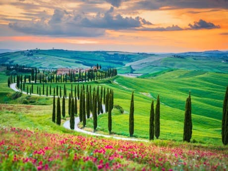 Rundreisen Italien - Toskana & Elba: Flexible Mietwagen-Rundreise ab/an Pisa: Toskana und Elba