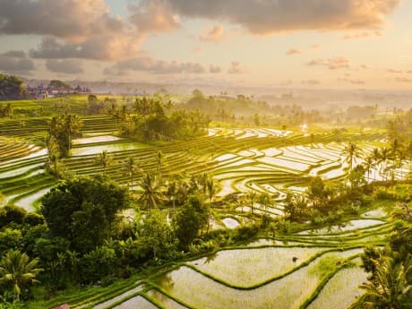 Rundreisen Indonesien - Bali Nord & Süd : Individuelle Rundreise ab/an Denpasar: Tempelzauber und Tropenvielfalt