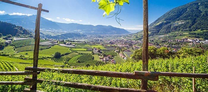 Alia appartements & wellness