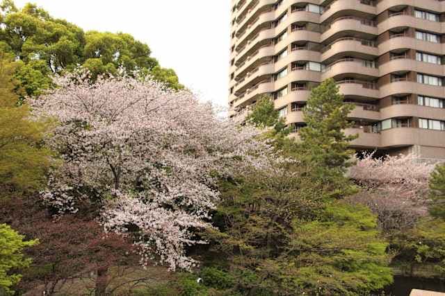 Tokyo Marriott Hotel