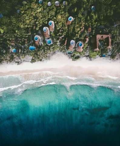 Hotel Papaya Playa Project