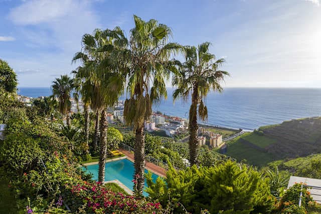 Casa do Papagaio Verde