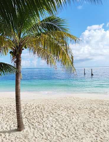 Maya Caribe Beach House by Faranda Hotels