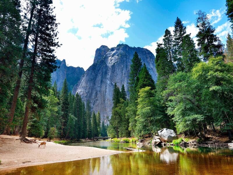 Rundreisen USA: Vom Großstadtfieber zur goldenen Küste - einmal quer durch Amerika