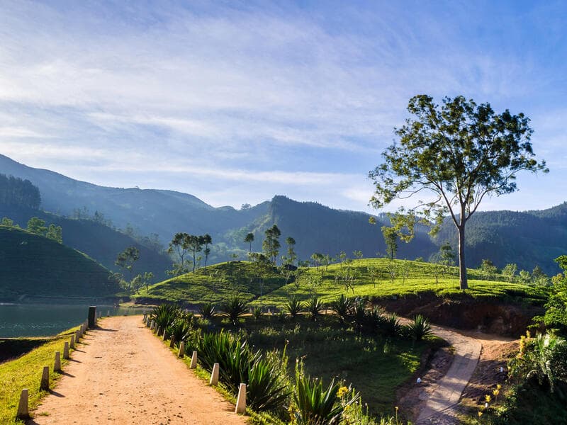 Rundreisen Sri Lanka: Zwischen Tempeln und Teeplantagen