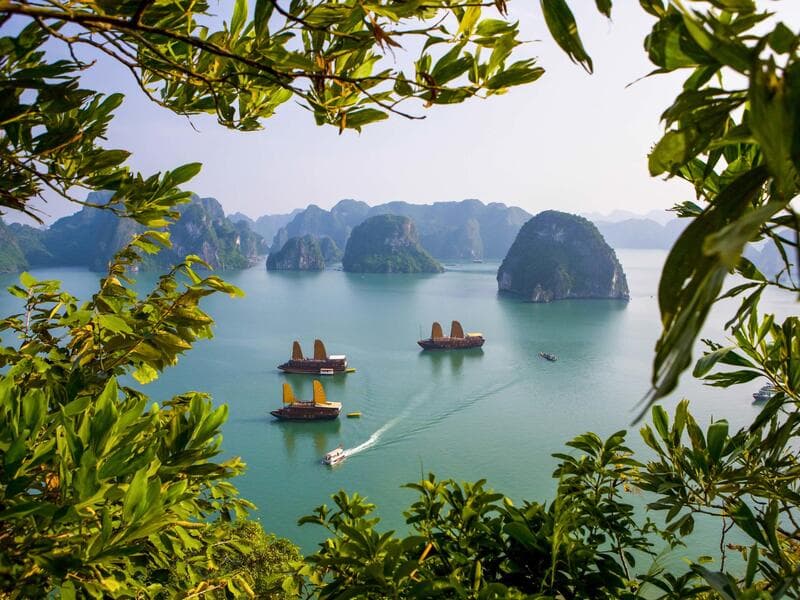 Erlebnisreisen Vietnam: Von der Dschunke ins Dschungelgrün