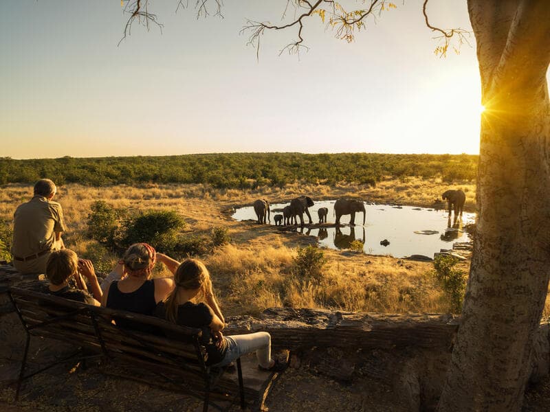 Erlebnisreisen Namibia: Zwischen Dünenmeer und Wildnis