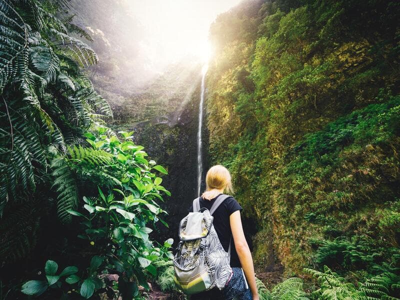 Madeira Panorâmico, Funchal