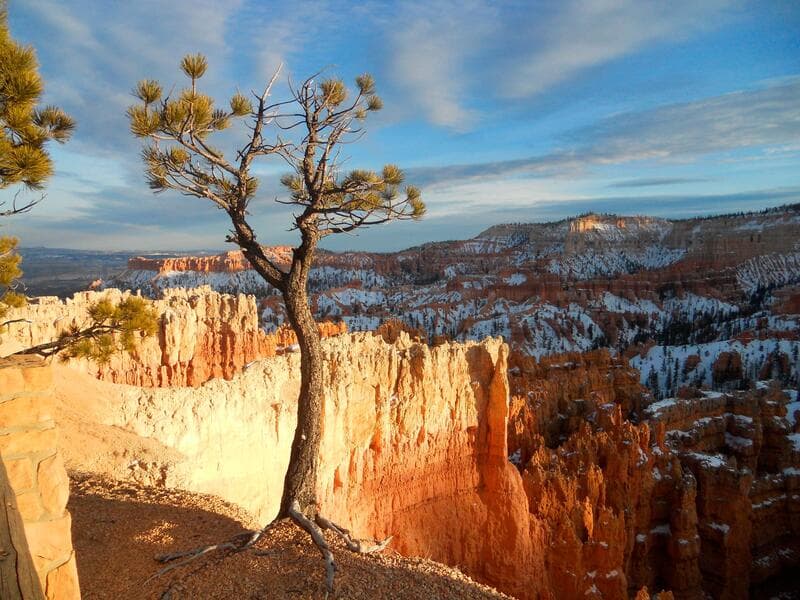 Rundreisen USA - Westküste: Entlang der Route 66: Von Las Vegas bis zum Grand Canyon