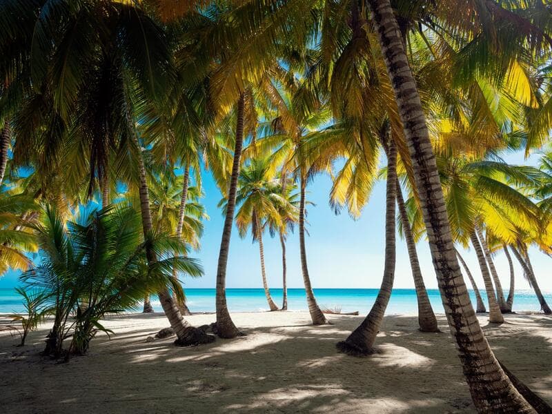 Emotions by Hodelpa Juan Dolio, Juan Dolio