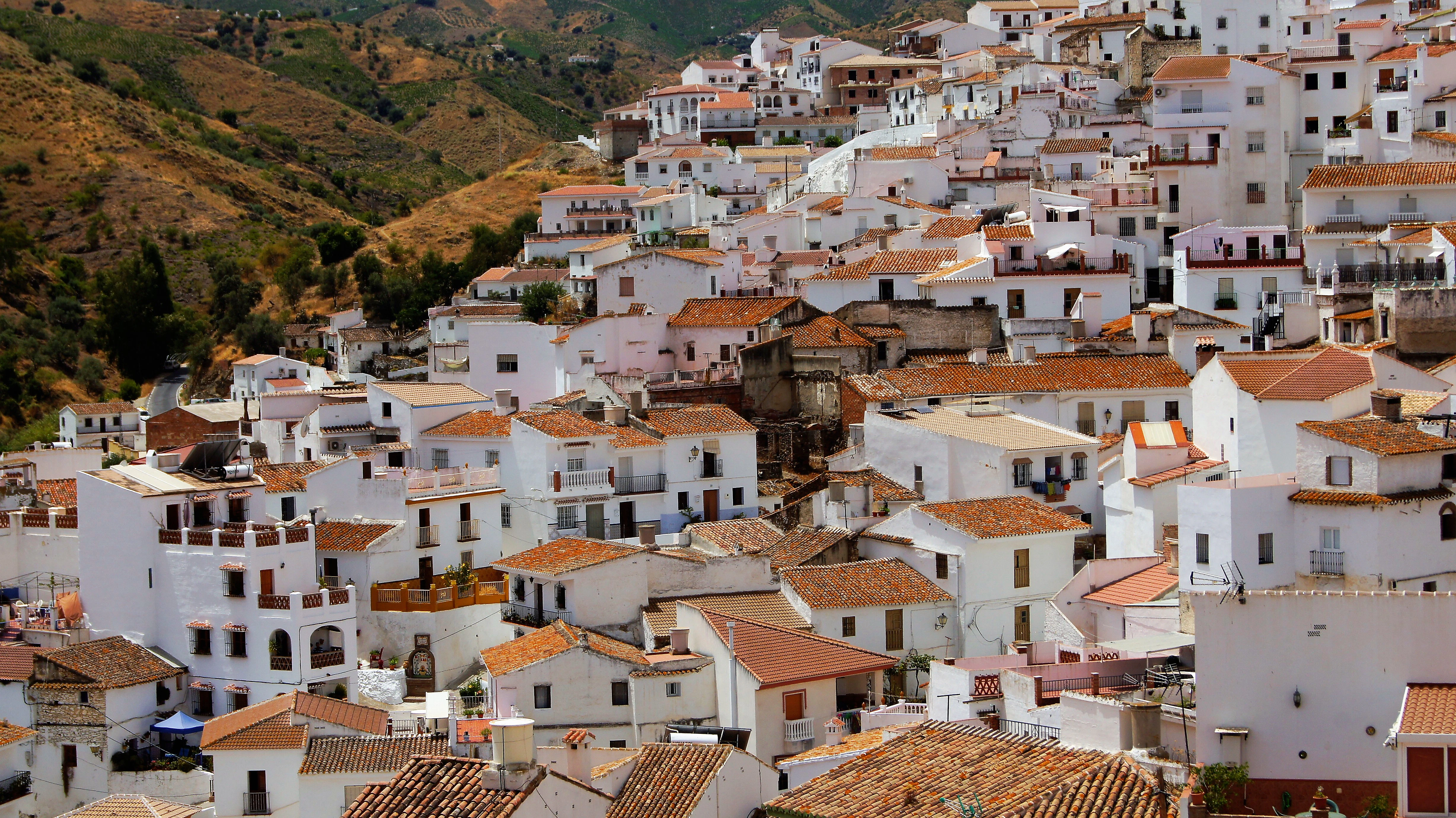 aerial view of city during daytime